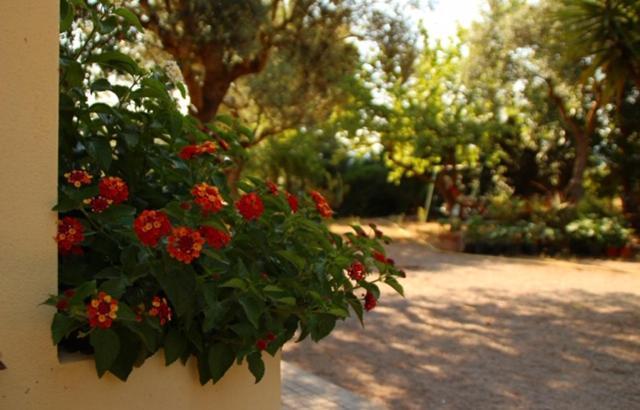 Rio Barca Bed And Breakfast Alghero Luaran gambar