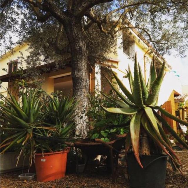 Rio Barca Bed And Breakfast Alghero Luaran gambar